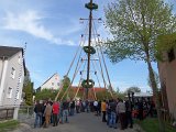 Maibaum_2016 (98).JPG